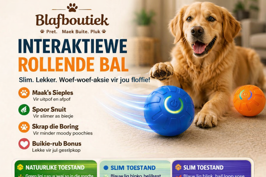 Interakiewe doggy BALLS🤣